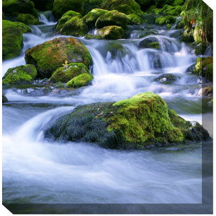 WEST OF THE WIND OUTDOOR CANVAS ART On Canvas Photograph