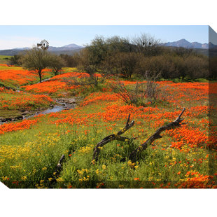 WEST OF THE WIND OUTDOOR CANVAS ART Home on the Range Framed Photographic Print on Wrapped Canvas