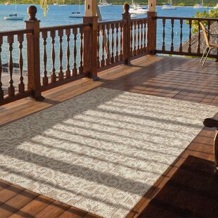 WILDON HOME® Wysong Flatweave Light Brown Indoor/Outdoor Rug