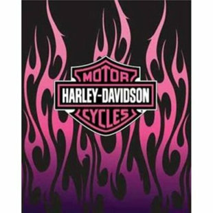 AHOLICDEALS Super Soft Plush Classic HARLEY DAVIDSON Heavyweight Blanket