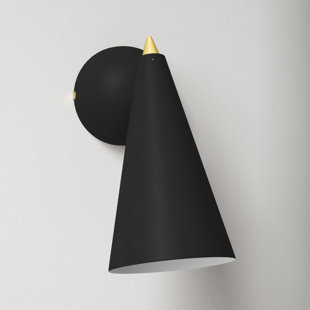 ALLMODERN Jessie Steel Armed Sconce