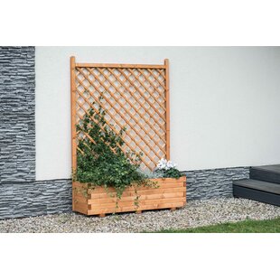 SOL 27 OUTDOOR Corrine Wood Planter Box with Trellis