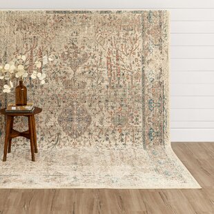 KARASTAN Chalfont Oriental Beige/Gray Area Rug