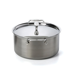 All-Clad Stainless Steel Stock Pot