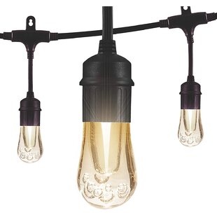 ENBRIGHTEN Vintage Outdoor 12 - Bulb 24'' Plug-in LED String Light