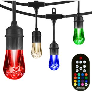 ENBRIGHTEN Vintage Seasons Outdoor 12 - Bulb 24'' Plug-in LED String Light