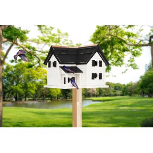 HOME BAZAAR Bird In Hand Montgomery for Purple Martins 17'' H x 18'' W x 16'' D Birdhouse