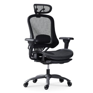 LIFEASE Yanxuan Ergonomic Office Chair - Rolling Desk Chair With 3d Adjustable Armrest, 3d Lumbar Support，adjustable Headrest And Premium Caster Wheels - Mesh Computer Chair, Executive Swivel Chair (black)