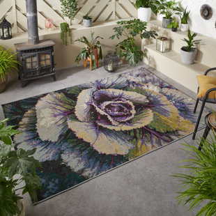 BEACHCREST HOME Columba Ombre Area Rug