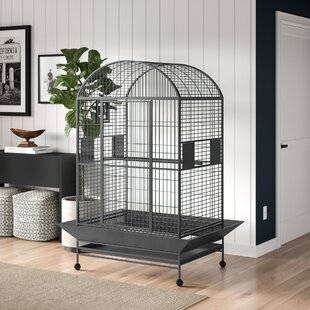 ARCHIE & OSCAR™ Dwight 65'' Iron Dome Top Floor Bird Cage with Wheels