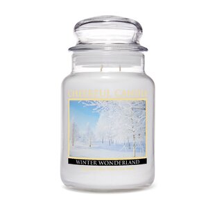 A CHEERFUL CANDLE LLC Winter Wonderland Scented Jar Candle