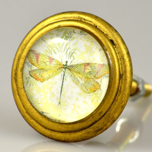 CHARLESTON KNOB COMPANY Dragonfly Art Knob with Brass Finish (Set of 4)