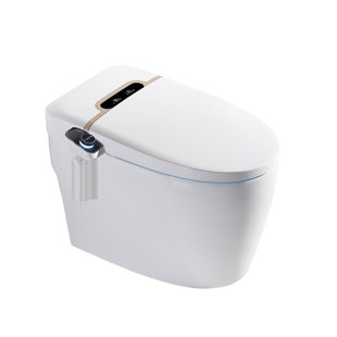 WCCTNYDY INC 0.9 GPF Elongated Chair Height Floor Mounted One-Piece Toilet (Seat Included)