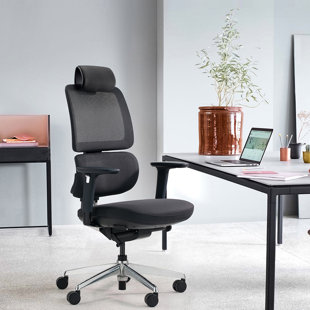 ALFA FURNISHING Polyester Blend Task Chair with Headrest