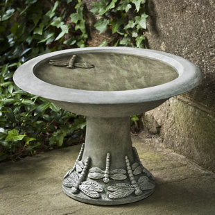 CAMPANIA INTERNATIONAL Dragonfly Concrete Pedestal Birdbath