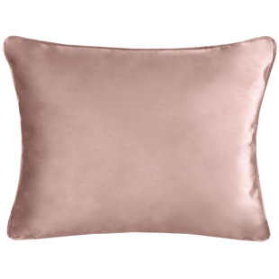 Rodeo Home Ice Luxury Solid Velvet Decorative Pillow With Feather Fill Insert
