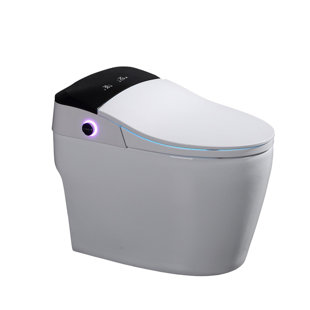 WCCTNYDY INC 1.06 GPF Elongated One-Piece Toilet (Seat Included)