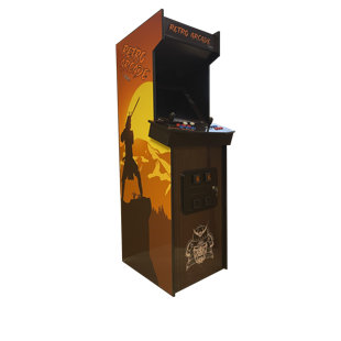 SUNCOAST ARCADE Full Size Side-by-Side Arcade Machine with 19" Monitor and 3000 Retro Games - Fully Assembled - 5 Year Warranty