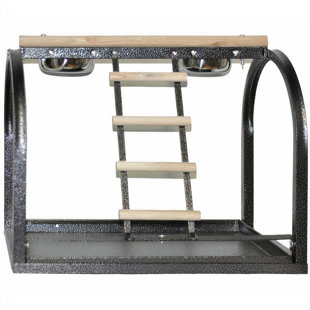 TUCKER MURPHY PET™ Chantella 18'' Metal Bird Play Stand for Table Top