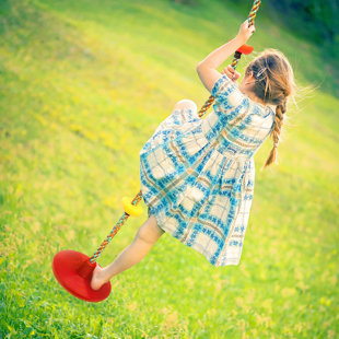 Goodwish 12'' Disc Swing with Mounting Hangers and Chains