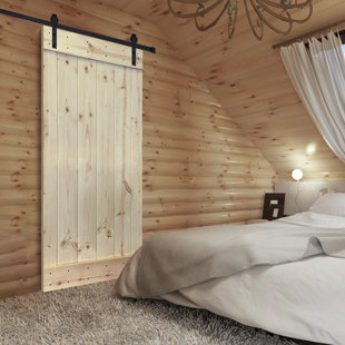 NAUXUS Paneled Painted Barn Door with Installation Hardware Kit