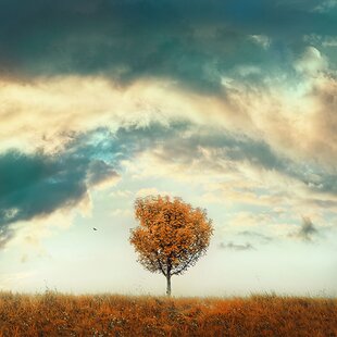 CHELSEA ART STUDIO David Keochkerian " Color Your Mood_145 " by David Keochkerian