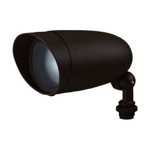 HIGHLAND DUNES Diann Metal Flood Light