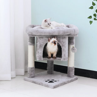 TUCKER MURPHY PET™ 23" Dunder Cat Tree / Condo