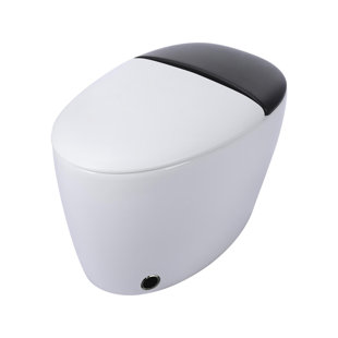WCCTNYDY INC Elongated One-Piece Toilet(Seat Included)