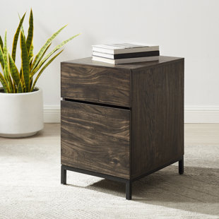 TRENT AUSTIN DESIGN® Houchens 15.75'' Wide 2 -Drawer File Cabinet