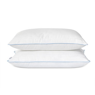ELUXURY Medium Pillow (Set of 6)
