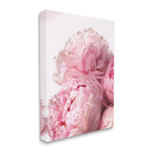 STUPELL INDUSTRIES " Blush Pink Peonies Florals Blooming Over White " by Ziwei Li
