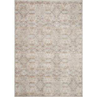 Amber Lewis x Loloi Zuma Silver / Multi Area Rug