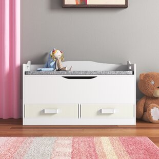 THREE POSTS™ BABY & KIDS Jakob Toy Storage Bench