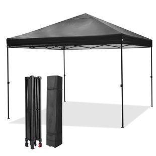 DREAMDWELL HOME 10 X 10 Ft. D Metal Pop-Up Canopy Tent Outdoor Party Tent with Storage Bag,Sandbags