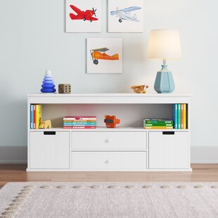 THREE POSTS™ BABY & KIDS Josue No Subject Cube Bookcase