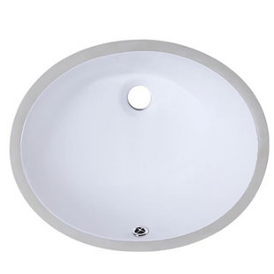 WCCTNYDY INC 16.14'' White Ceramic Oval Bathroom Sink with Overflow