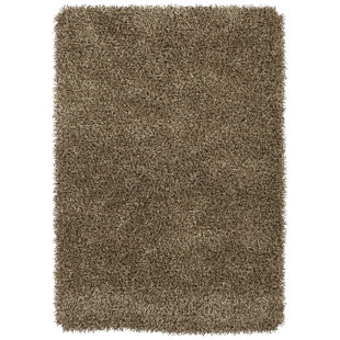 KALEEN Curtsi Shag Taupe Area Rug