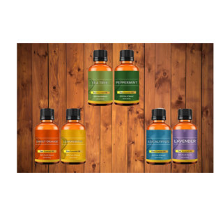 NY TEXTILE HAUS 6-Piece Essential Oil Set