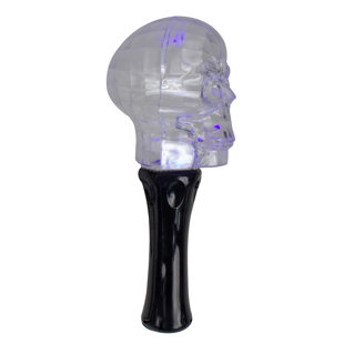 NORTHLIGHT SEASONAL 9" LED Transparent Multi-Function Halloween Skull Light