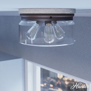 HUNTER FAN Hunter Devon Park Onyx Bengal And Barnwood 3 Light Flush Mount Ceiling Light Fixture