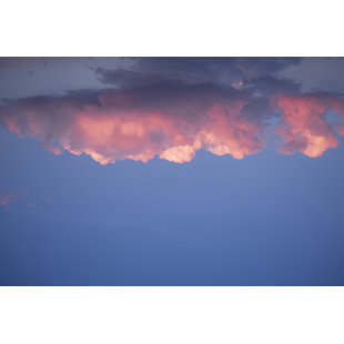 MARIE BURGOS DESIGN Pink Cloud Framed by Francis Augustine Print