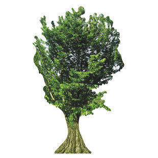 WET PAINT PRINTING Tree Cardboard Standup