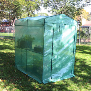 SUNNYDAZE DECOR 49.5" W x 76" D Growing Rack Greenhouse