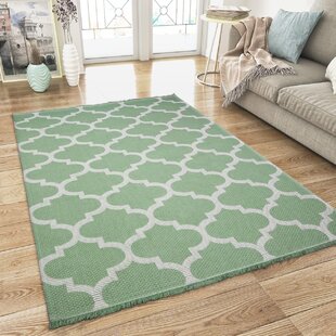 MARLOW HOME CO. Imes Moroccan Hand Woven Green Area Rug