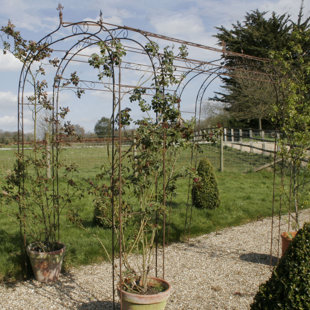 MAISON ALOUETTE Rosenbogen Gaelle