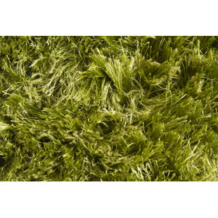 CHANDRA RUGS Celecot Rug