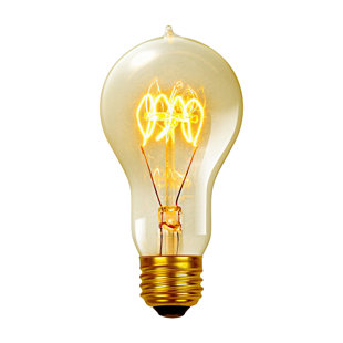 GLOBE ELECTRIC COMPANY 60 Watt E26/Medium (Standard) Dimmable 2200K Incandescent Bulb