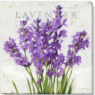 DARREN GYGI HOME COLLECTION " Lavender Giclee Wall Art " by Darren Gygi
