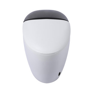 WCCTNYDY INC 0.9 Gallons GPF Elongated Chair Height Floor Mounted One-Piece Toilet (Seat Included)